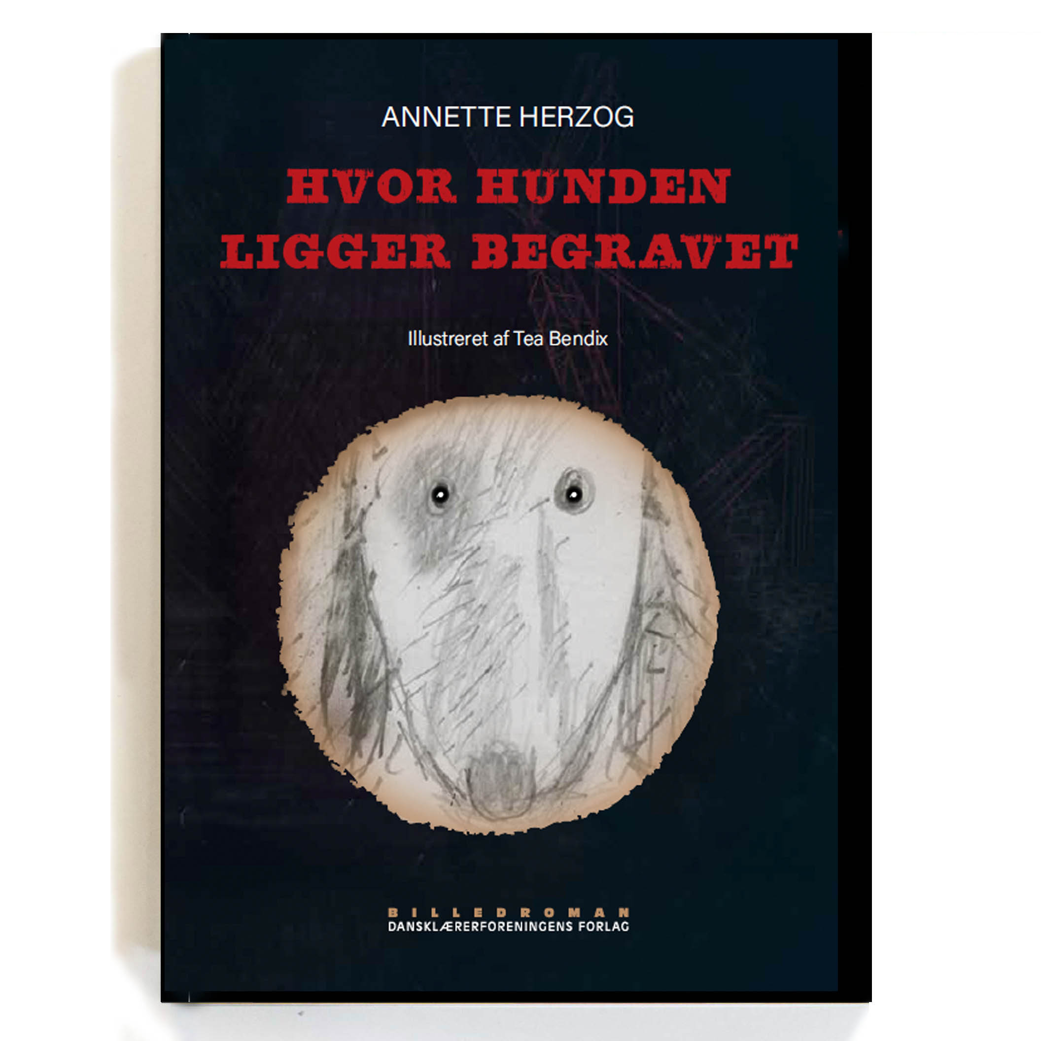 Hvor hunden ligger begravet