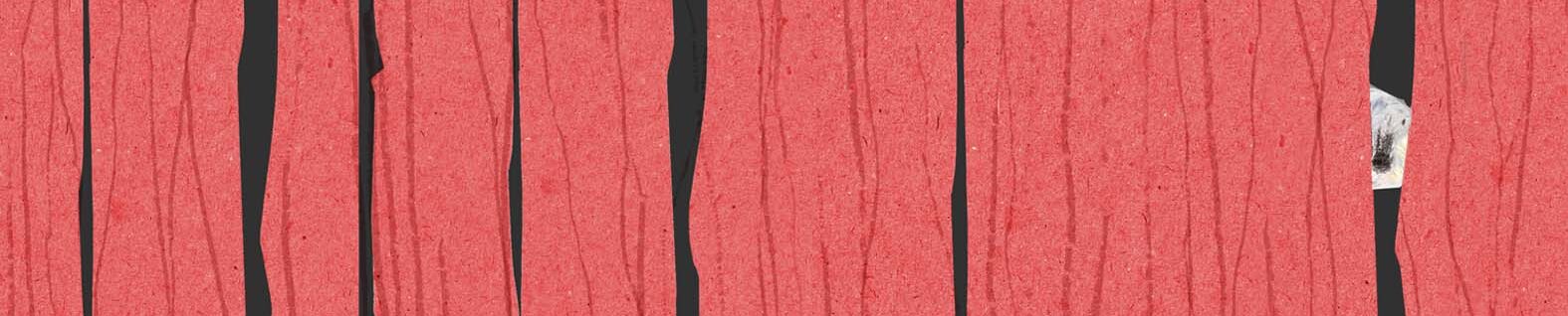 Mørkemusen udstillinger og sanserum